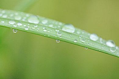 《街霸6》导演回应卡普空杯决赛网络发布收费 开发组也震惊